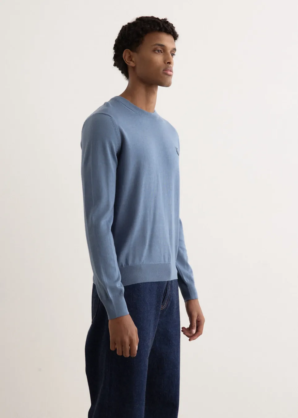 Bold Fox Head Patch Regular Jumper