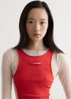 Mesh Long Dress With Rib