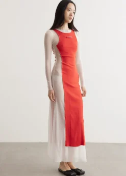 Mesh Long Dress With Rib