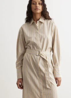 Briar Stripe Poplin Dress