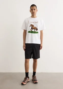 Elasticated Waist Shorts