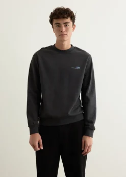 Standard Item Sweatshirt